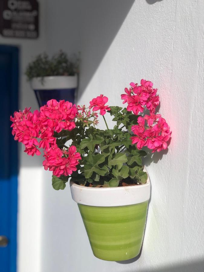 Apartament Isleta 5 La Isleta del Moro Zewnętrze zdjęcie
