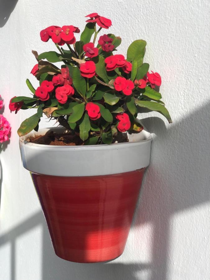 Apartament Isleta 5 La Isleta del Moro Zewnętrze zdjęcie